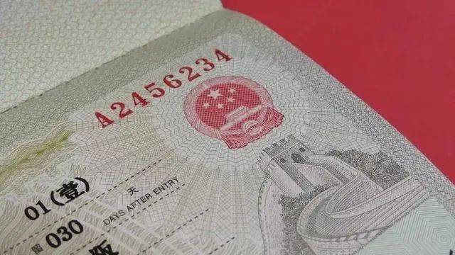 子代扣6分罚5000！隔夜饭吃进ICU！不开火烧可乐鸡翅龙8中国唯一入口沪再添中运量公交！覃海洋成绩被取消！女(图10)