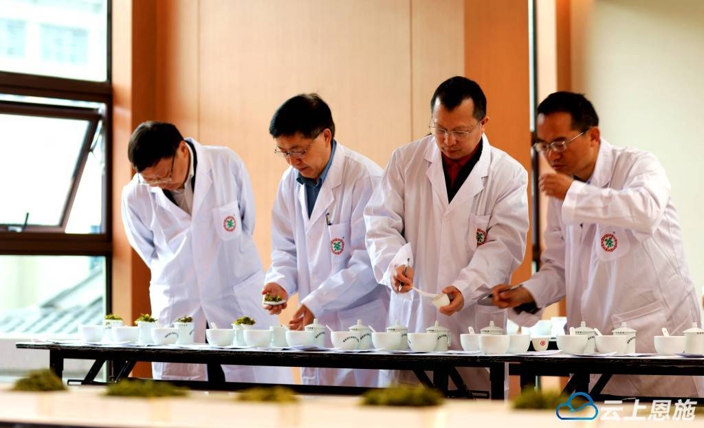 叶 科技加码咸丰：一片茶